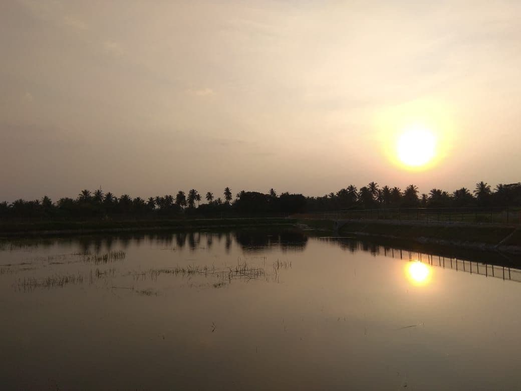 Abbankuppe Lake Rejuvenation image 2