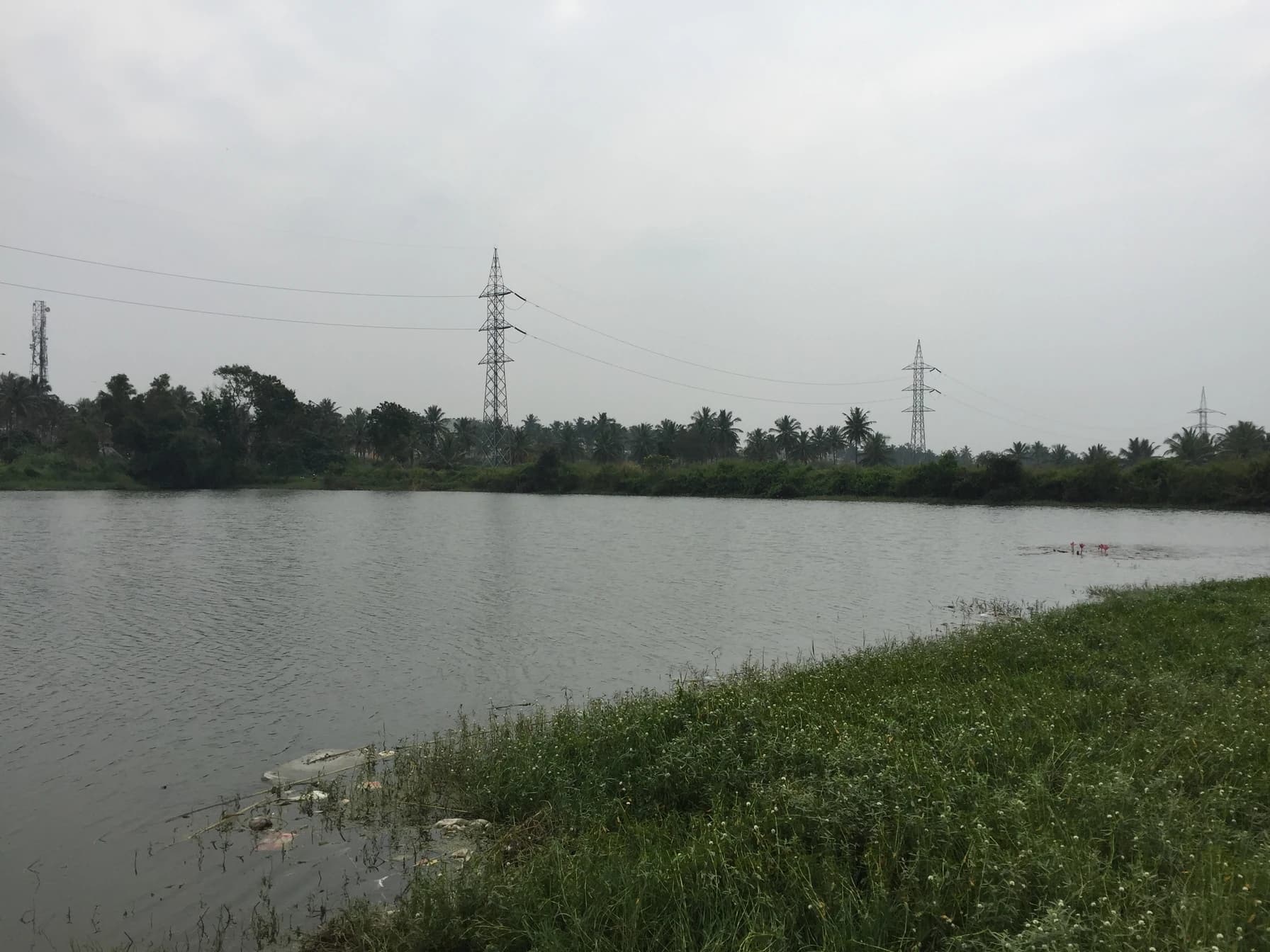 Abbankuppe Lake Rejuvenation image 6