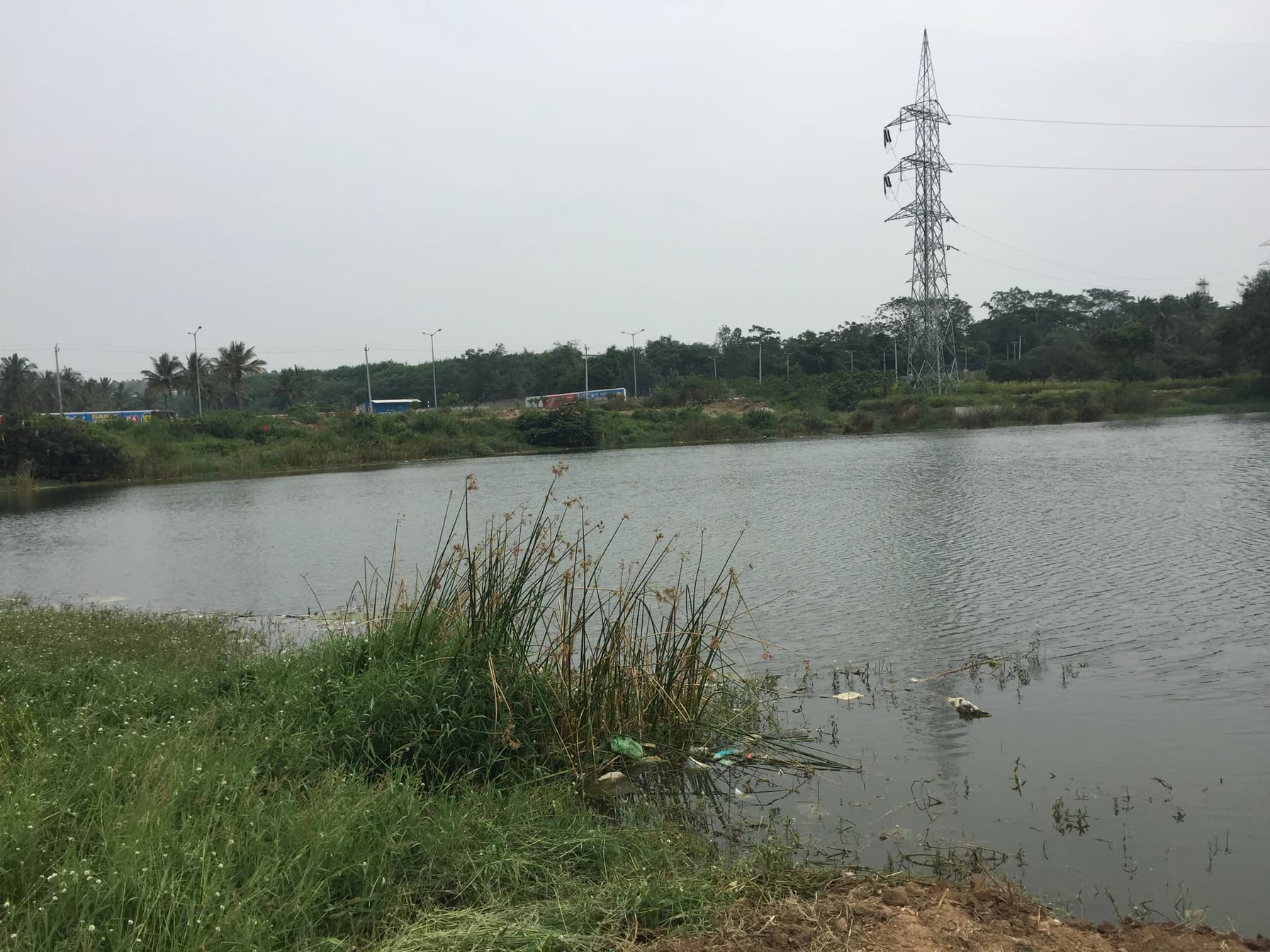 Abbankuppe Lake Rejuvenation image 7