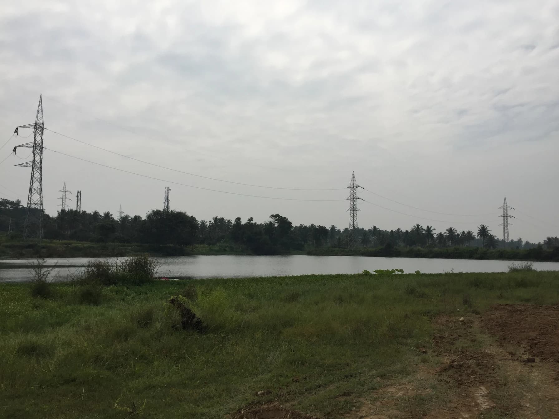 Abbankuppe Lake Rejuvenation image 8