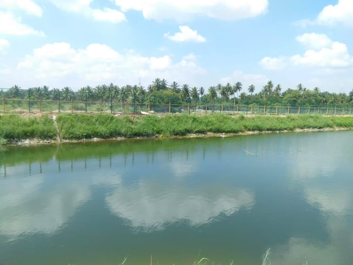 Abbankuppe Lake Rejuvenation image 1